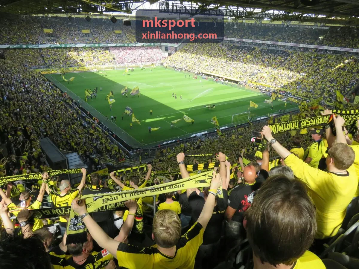 mksport 企业健康跑活动案例